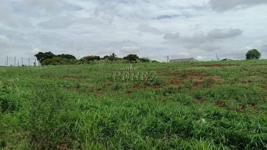 Terrenos à venda no Estância Dlaville - Londrina/PR - Foto 6