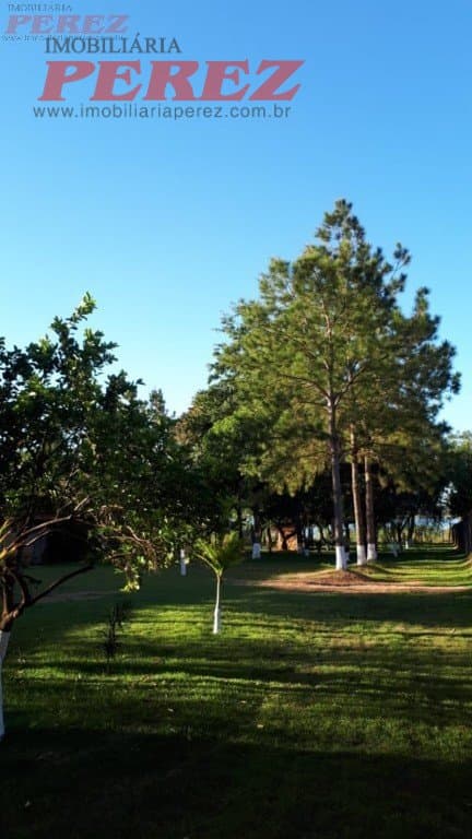 Imóveis Rurais, de 3 quartos, 386 m² à venda no Alvorada Do Sul - Alvorada Do Sul/PR - Foto 74