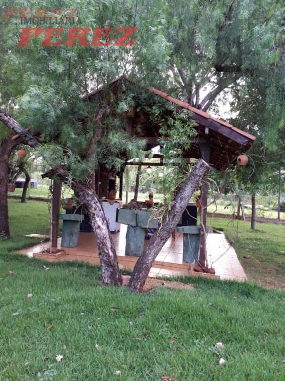 Imóveis Rurais, de 3 quartos, 386 m² à venda no Alvorada Do Sul - Alvorada Do Sul/PR - Foto 79