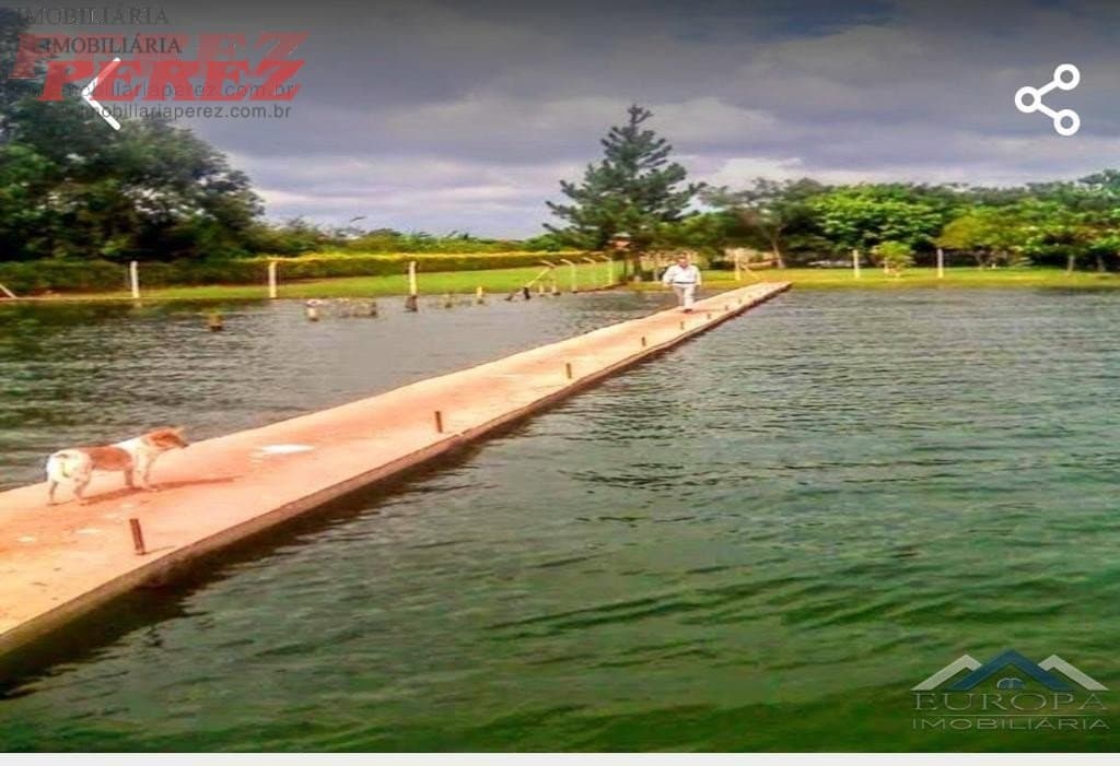 Imóveis Rurais, de 3 quartos, 386 m² à venda no Alvorada Do Sul - Alvorada Do Sul/PR - Foto 70