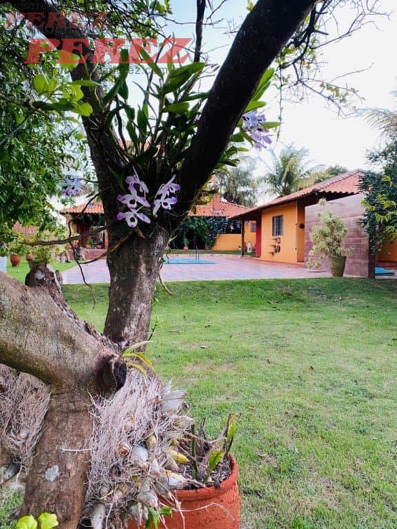 Imóveis Rurais, de 3 quartos, 386 m² à venda no Alvorada Do Sul - Alvorada Do Sul/PR - Foto 50