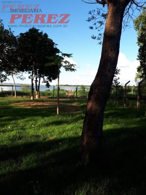 Imóveis Rurais, de 3 quartos, 386 m² à venda no Alvorada Do Sul - Alvorada Do Sul/PR - Foto 75