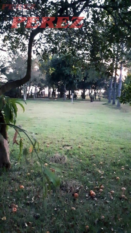Imóveis Rurais, de 3 quartos, 386 m² à venda no Alvorada Do Sul - Alvorada Do Sul/PR - Foto 73