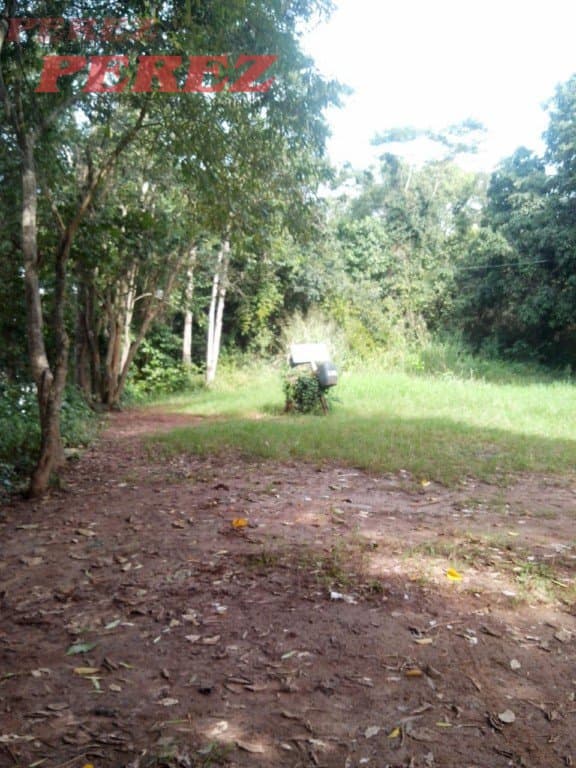 Imóveis Rurais no Recanto Do Pescador, de 1 quarto à venda no Recanto Do Pescador - Ibipora/PR - Foto 12