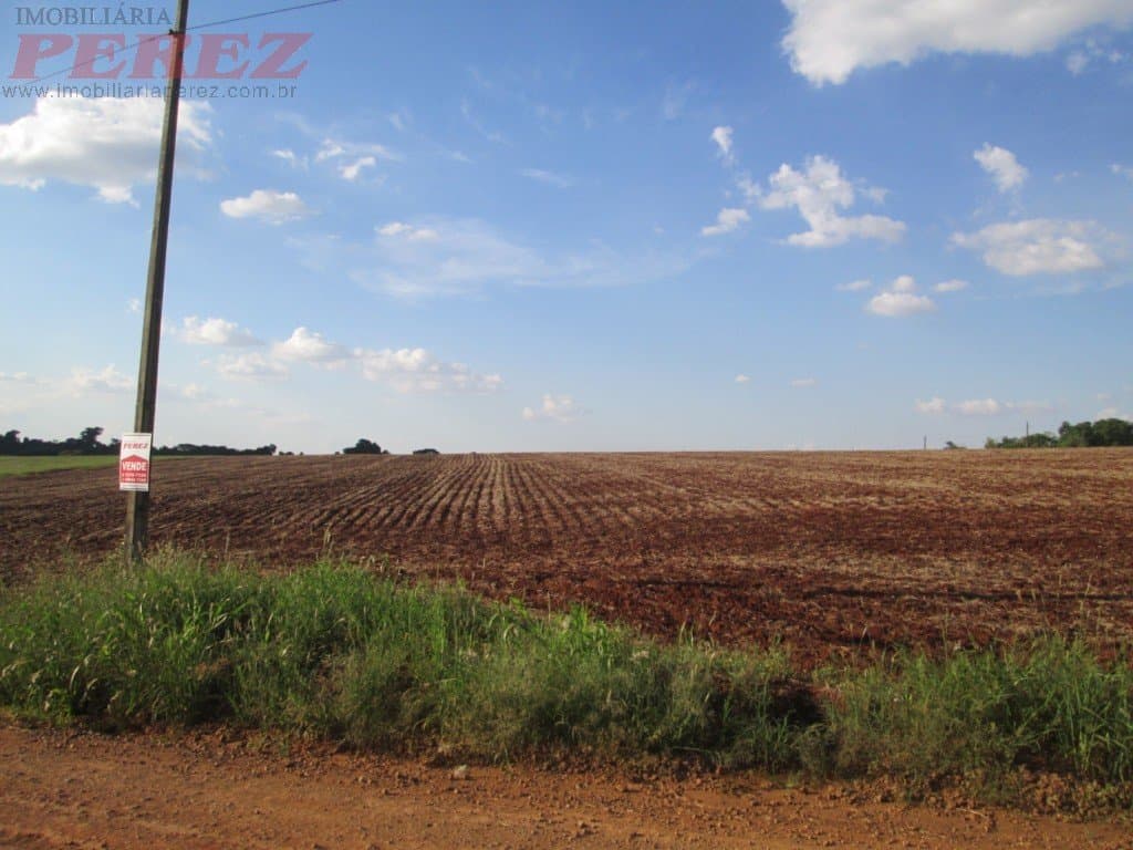 Imóveis Rurais, de 1 quarto, 48000 m² à venda no Espirito Santo - Londrina/PR - Foto 11