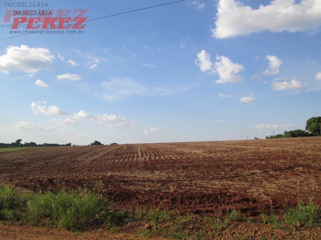 Imóveis Rurais, de 1 quarto, 48000 m² à venda no Espirito Santo - Londrina/PR - Foto 10