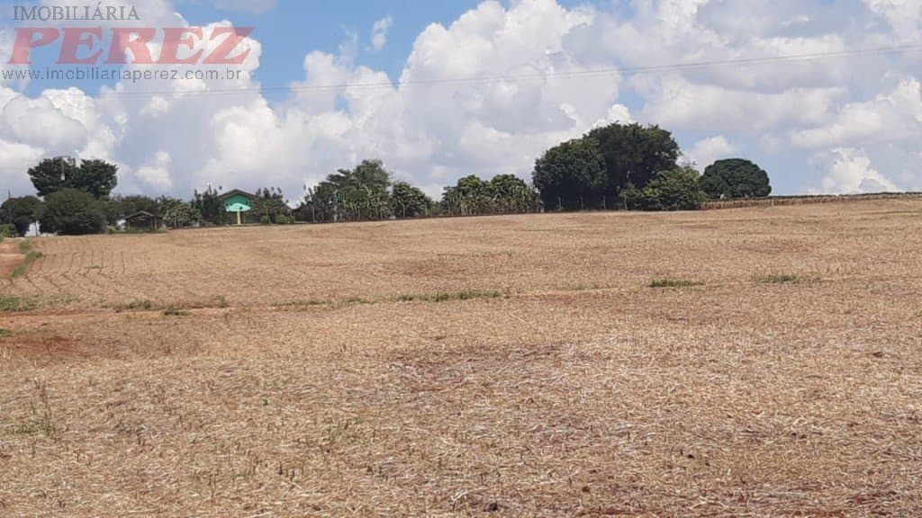 Imóveis Rurais, de 3 quartos, 180 m² à venda no Espirito Santo - Londrina/PR - Foto 20
