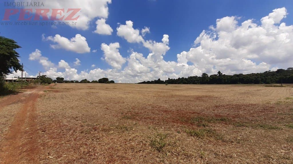 Imóveis Rurais, de 3 quartos, 180 m² à venda no Espirito Santo - Londrina/PR - Foto 19