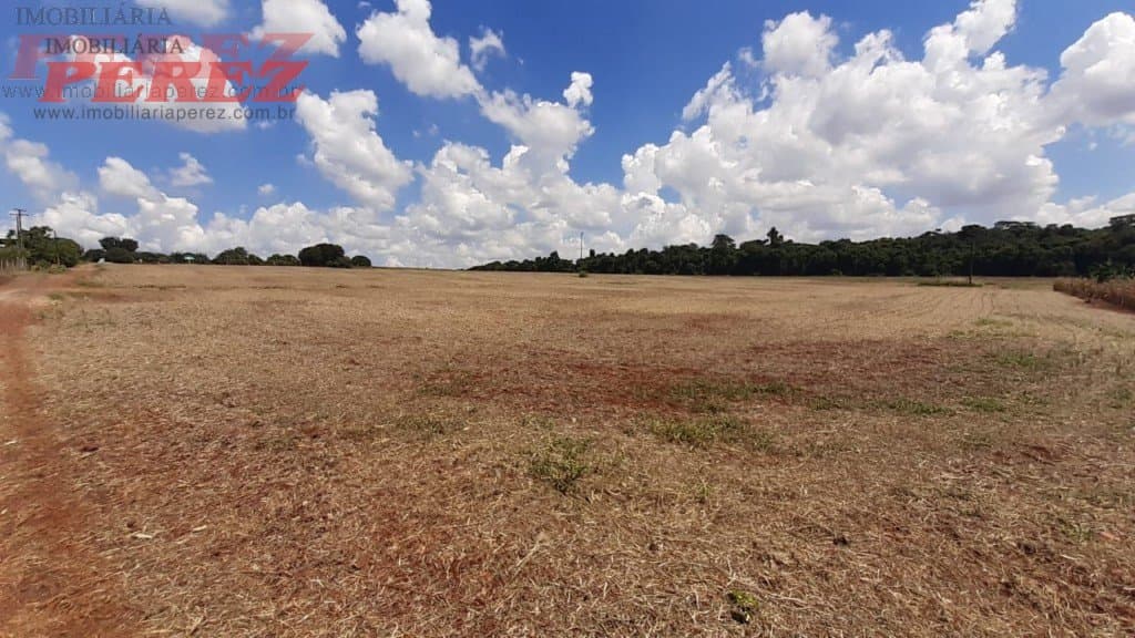 Imóveis Rurais, de 3 quartos, 180 m² à venda no Espirito Santo - Londrina/PR - Foto 16