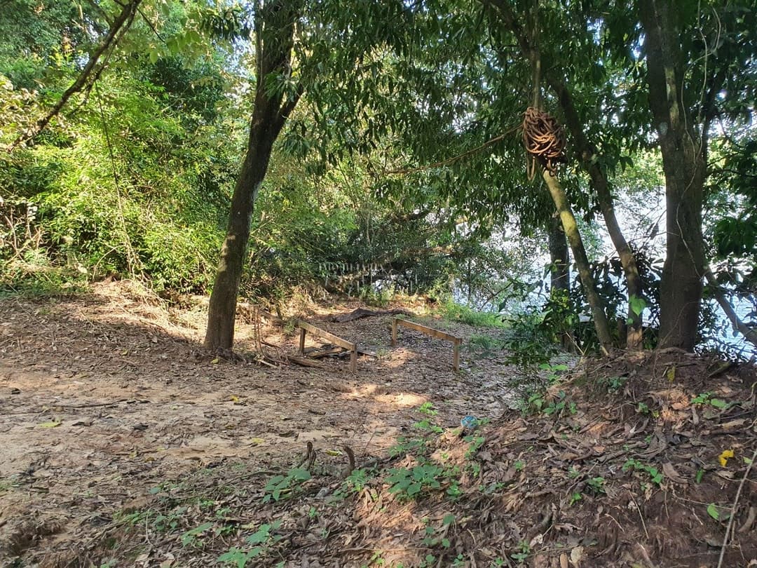 Venda de Sítio Exclusivo às Margens do Rio Tibagi - Recanto da Onça, Assaí/PR  Apresentamos o Recanto da Onça Parda, um verdadeiro tesouro natur - Foto 15