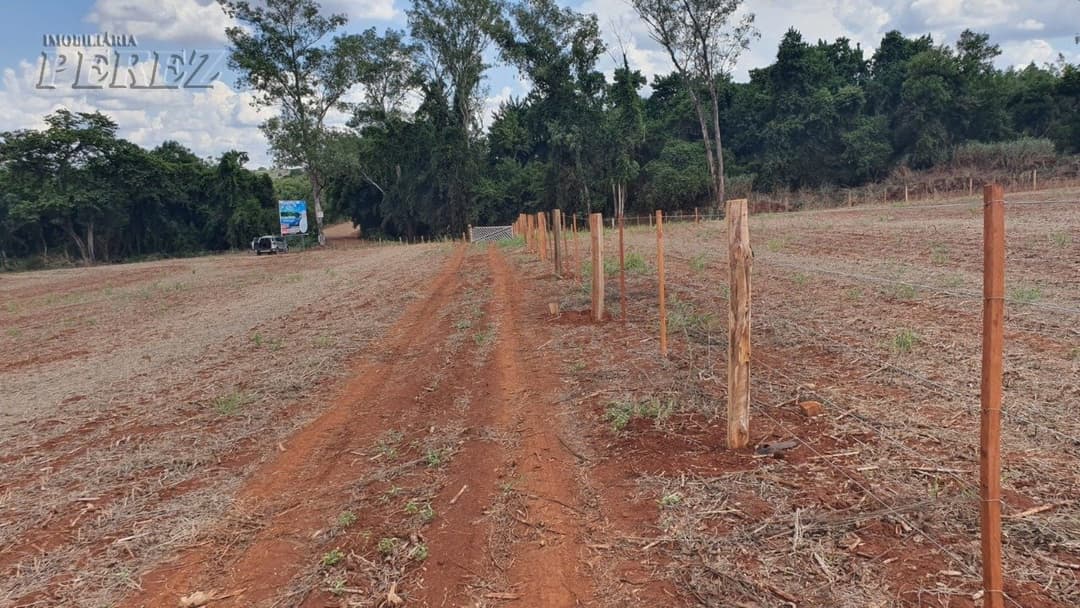 Imóveis Rurais no Loteamento Poço Bonito, de 1 quarto, 20000 m² à venda no Rural - Ibiporã/PR - Foto 5