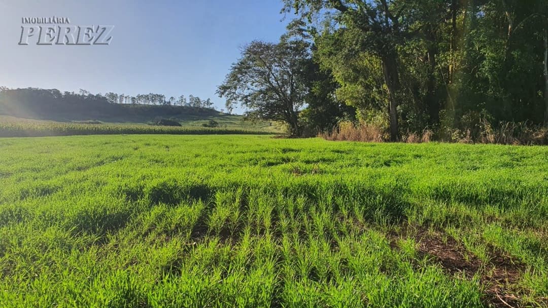Imóveis Rurais no Loteamento Poço Bonito, de 1 quarto, 20000 m² à venda no Rural - Ibiporã/PR - Foto 8