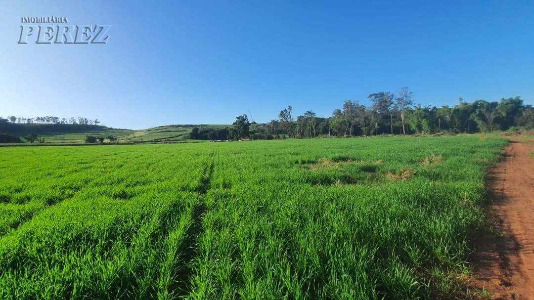 Imóveis Rurais no Loteamento Poço Bonito, de 1 quarto, 20000 m² à venda no Rural - Ibiporã/PR - Foto 9
