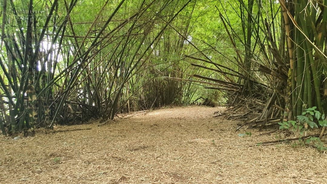 Imóveis Rurais no Loteamento Poço Bonito, de 1 quarto, 20000 m² à venda no Rural - Ibiporã/PR - Foto 10