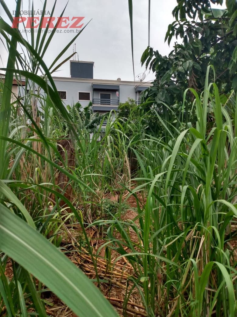 A Imobiliária Perez oferece à você essa ótima oportunidade de casa em Londrina: - Foto 18