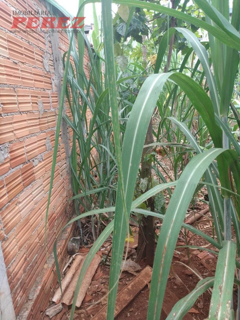 A Imobiliária Perez oferece à você essa ótima oportunidade de casa em Londrina: - Foto 16