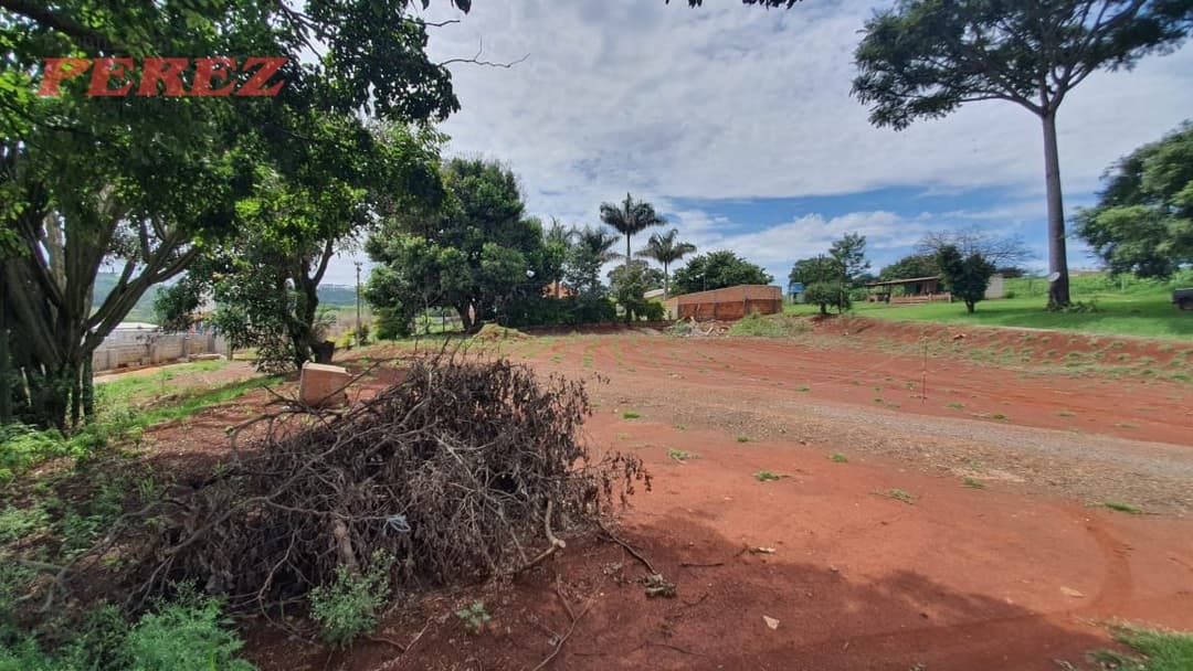 Imóveis Rurais, de 4 quartos, 700 m² à venda no Jardim Das Palmeiras - Londrina/PR - Foto 8