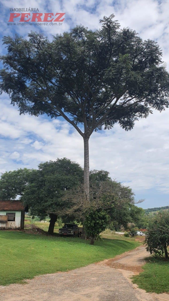 Imóveis Rurais, de 4 quartos, 700 m² à venda no Jardim Das Palmeiras - Londrina/PR - Foto 9