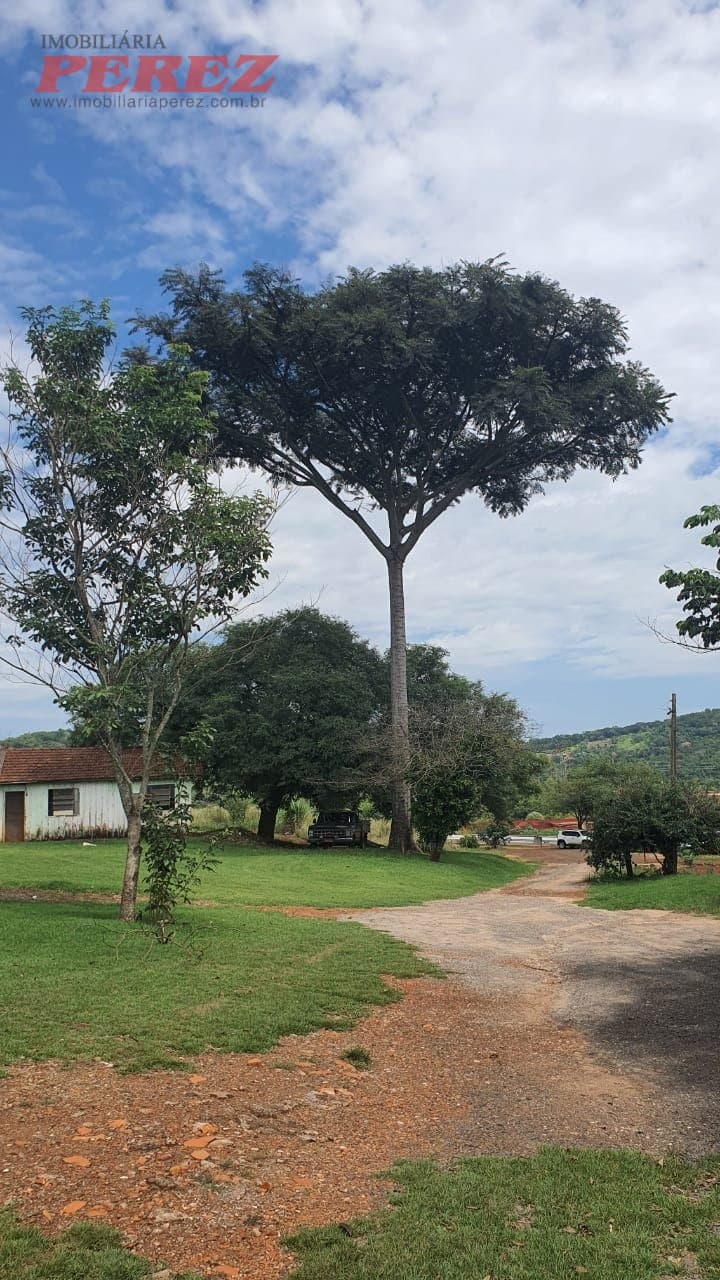 Imóveis Rurais, de 4 quartos, 700 m² à venda no Jardim Das Palmeiras - Londrina/PR - Foto 10