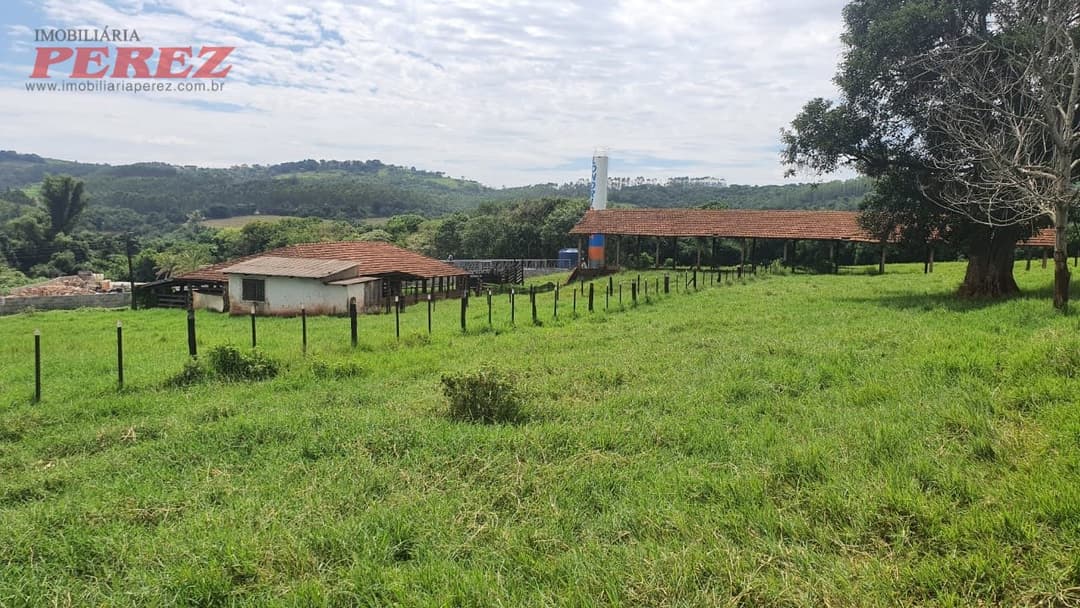 Imóveis Rurais, de 4 quartos, 700 m² à venda no Jardim Das Palmeiras - Londrina/PR - Foto 15