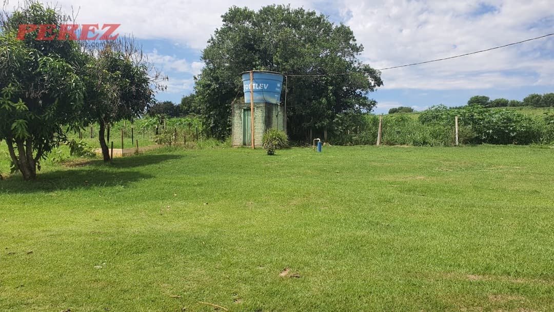 Imóveis Rurais, de 4 quartos, 700 m² à venda no Jardim Das Palmeiras - Londrina/PR - Foto 18