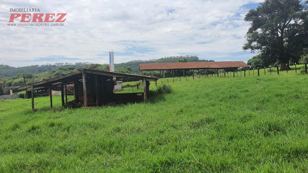 Imóveis Rurais, de 4 quartos, 700 m² à venda no Jardim Das Palmeiras - Londrina/PR - Foto 24
