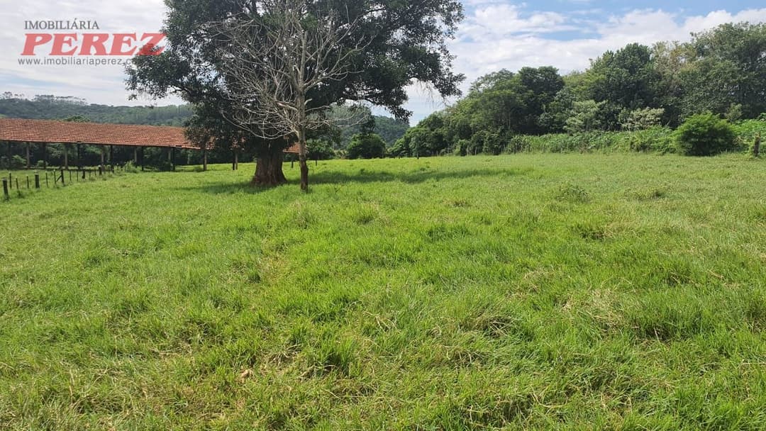 Imóveis Rurais, de 4 quartos, 700 m² à venda no Jardim Das Palmeiras - Londrina/PR - Foto 25
