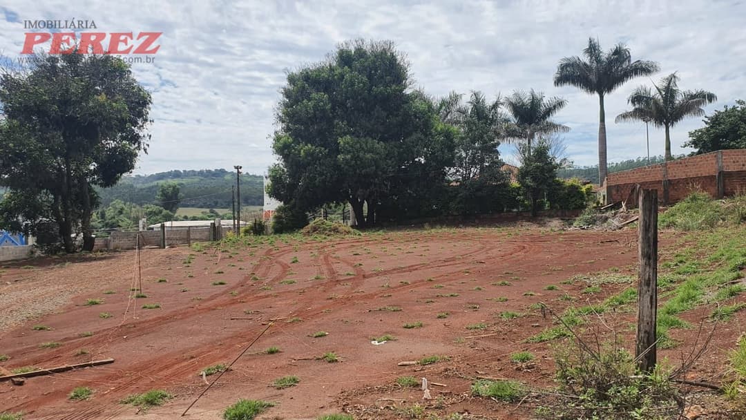 Imóveis Rurais, de 4 quartos, 700 m² à venda no Jardim Das Palmeiras - Londrina/PR - Foto 26