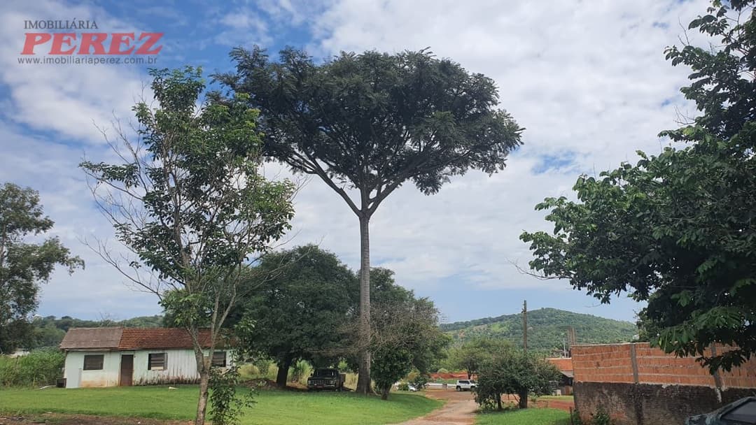 Imóveis Rurais, de 4 quartos, 700 m² à venda no Jardim Das Palmeiras - Londrina/PR - Foto 27