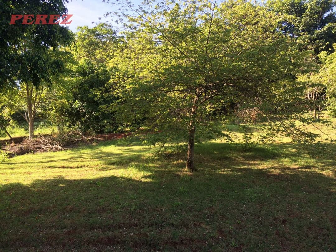 Imóveis Rurais no Fazenda Da Nata, de 3 quartos, 150 m² à venda no Fazenda Da Nata - Londrina/PR - Foto 28
