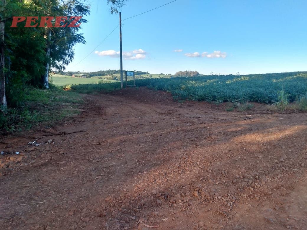 Imóveis Rurais, de 2 quartos à venda no Patrimonio Regina - Londrina/PR - Foto 18