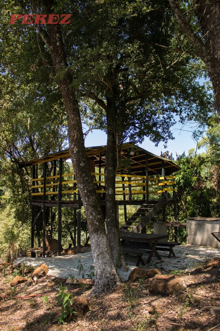 Imóveis Rurais, de 2 quartos, 17242.5 m² à venda no Chácaras São Miguel - Londrina/PR - Foto 23