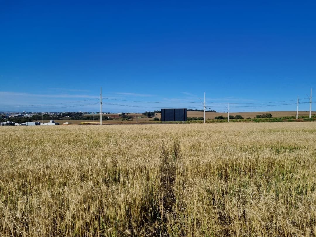 Terrenos à venda no Gleba Ribeirao Limoeiro - Londrina/PR - Foto 2