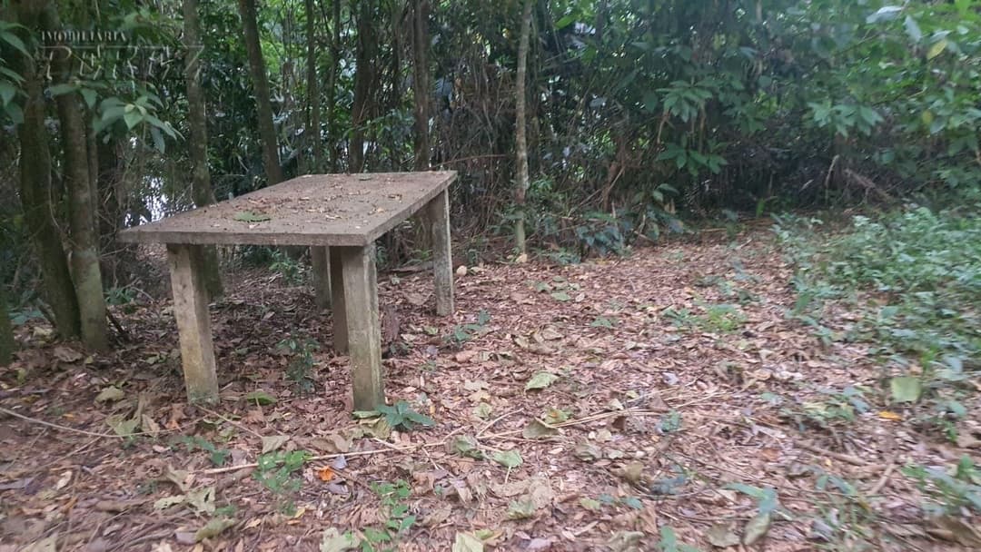 Imóveis Rurais no Chácara Poço Bonito, de 3 quartos, 200 m² à venda no Ibiporã - Ibiporã/PR - Foto 9