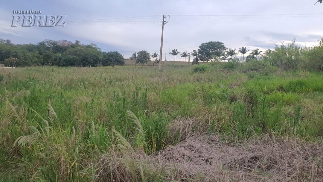 Imóveis Rurais no Chácara Poço Bonito, de 3 quartos, 200 m² à venda no Ibiporã - Ibiporã/PR - Foto 7