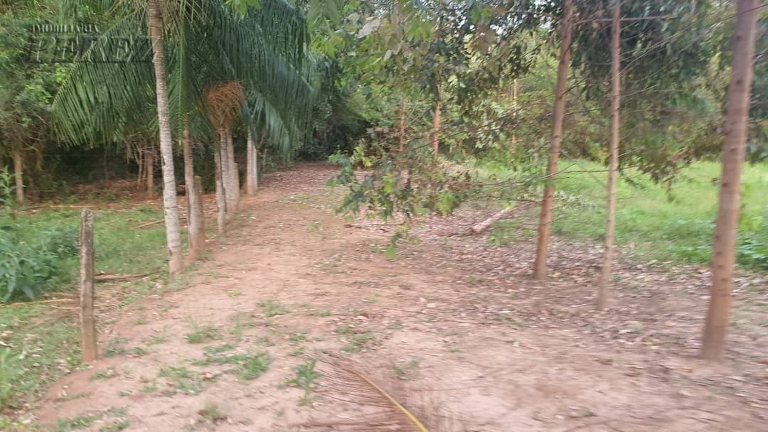 Imóveis Rurais no Chácara Poço Bonito, de 3 quartos, 200 m² à venda no Ibiporã - Ibiporã/PR - Foto 8