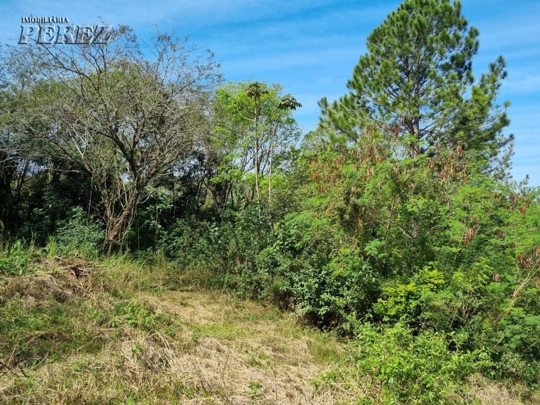 Imóveis Rurais, de 1 quarto, 2990.7 m² à venda no Chácaras Ponte Seca - Londrina/PR - Foto 8