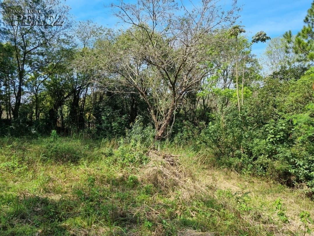 Imóveis Rurais, de 1 quarto, 2990.7 m² à venda no Chácaras Ponte Seca - Londrina/PR - Foto 9