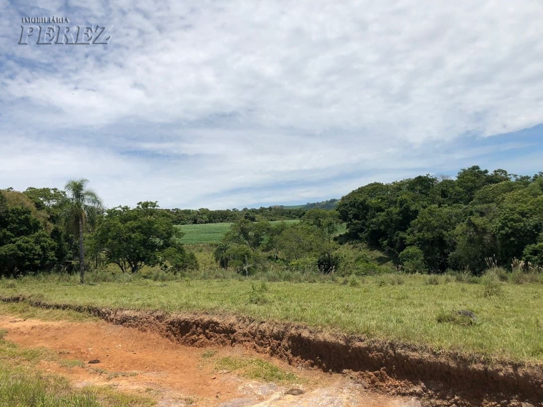 Imóveis Rurais, de 1 quarto à venda no Marumbi - Faxinal/PR - Foto 1