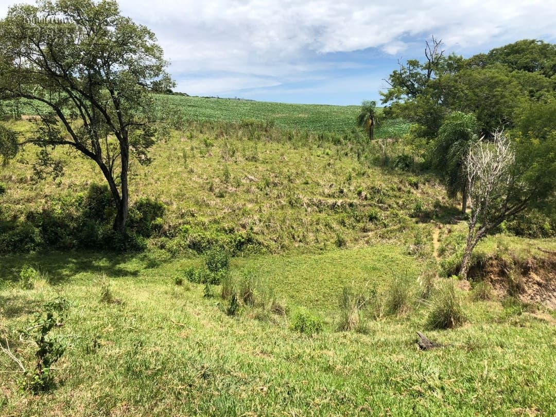 Imóveis Rurais, de 1 quarto à venda no Marumbi - Faxinal/PR - Foto 5