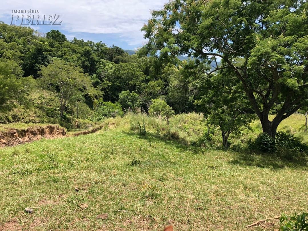 Imóveis Rurais, de 1 quarto à venda no Marumbi - Faxinal/PR - Foto 6