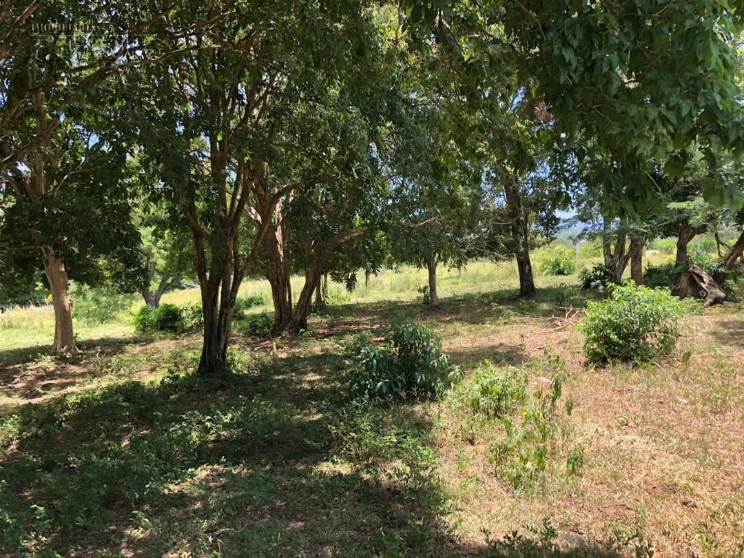 Imóveis Rurais, de 1 quarto à venda no Marumbi - Faxinal/PR - Foto 7