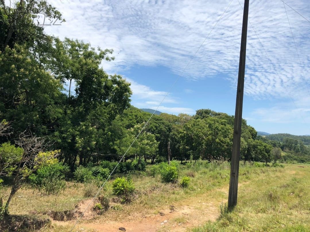 Imóveis Rurais, de 1 quarto à venda no Marumbi - Faxinal/PR - Foto 8