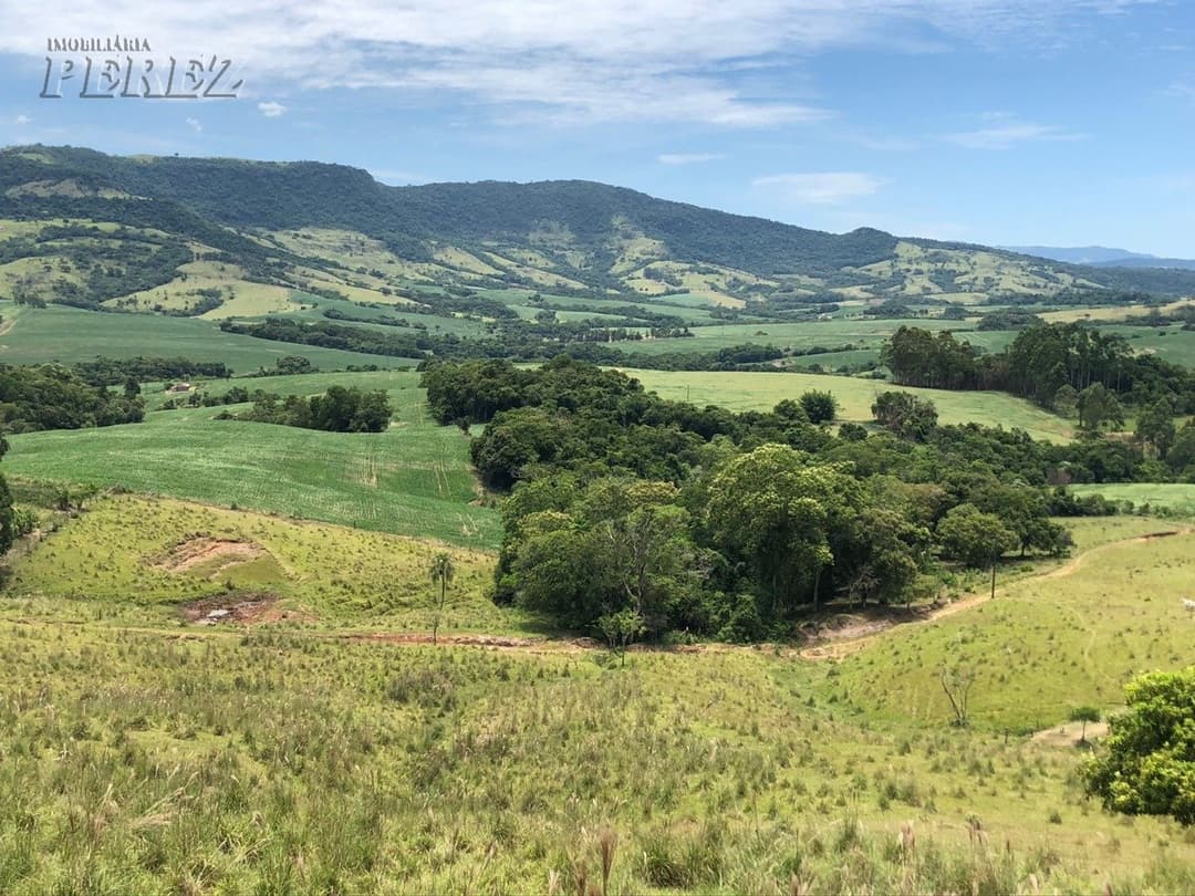 Imóveis Rurais, de 1 quarto à venda no Marumbi - Faxinal/PR - Foto 0