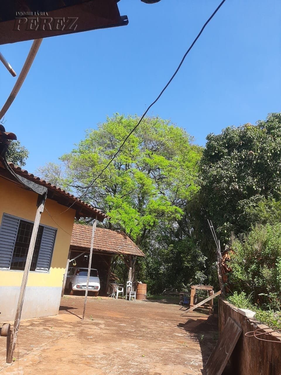 Imóveis Rurais no Sitio Pacheco, de 3 quartos, 100 m² à venda no Ibiporã - Ibiporã/PR - Foto 5