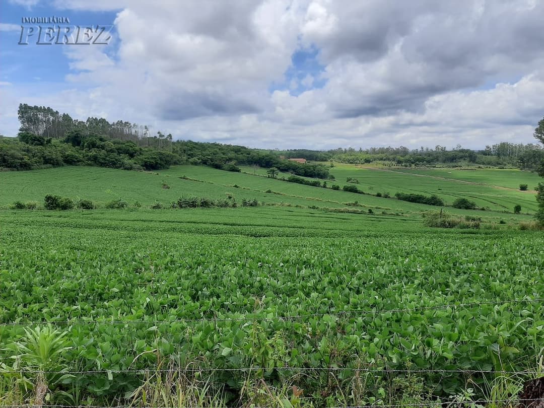 Imóveis Rurais no Sitio Pacheco, de 3 quartos, 100 m² à venda no Ibiporã - Ibiporã/PR - Foto 18