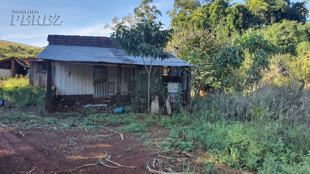 Venda de Sítio Produtivo com Recursos Naturais - Região de Londrina/PR - Foto 6