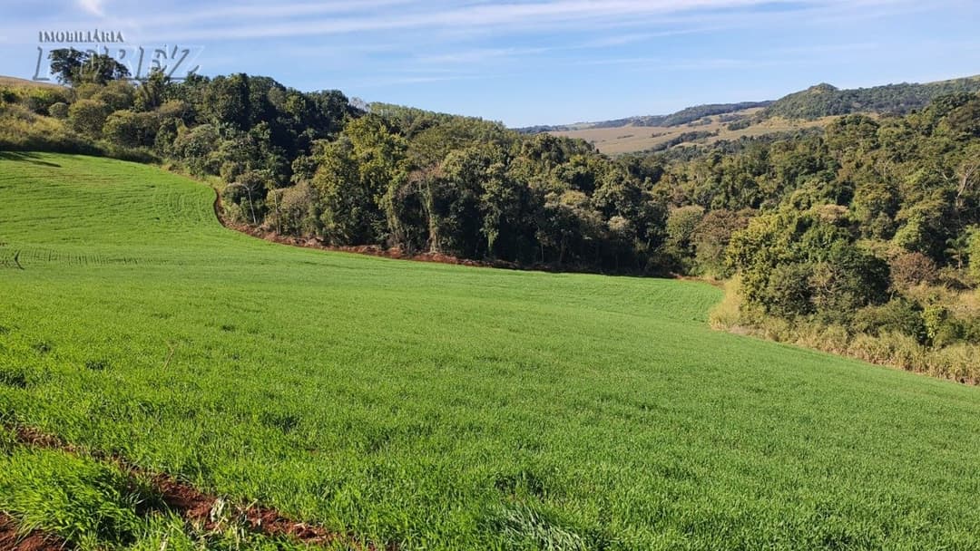 Venda de Sítio Produtivo com Recursos Naturais - Região de Londrina/PR - Foto 10