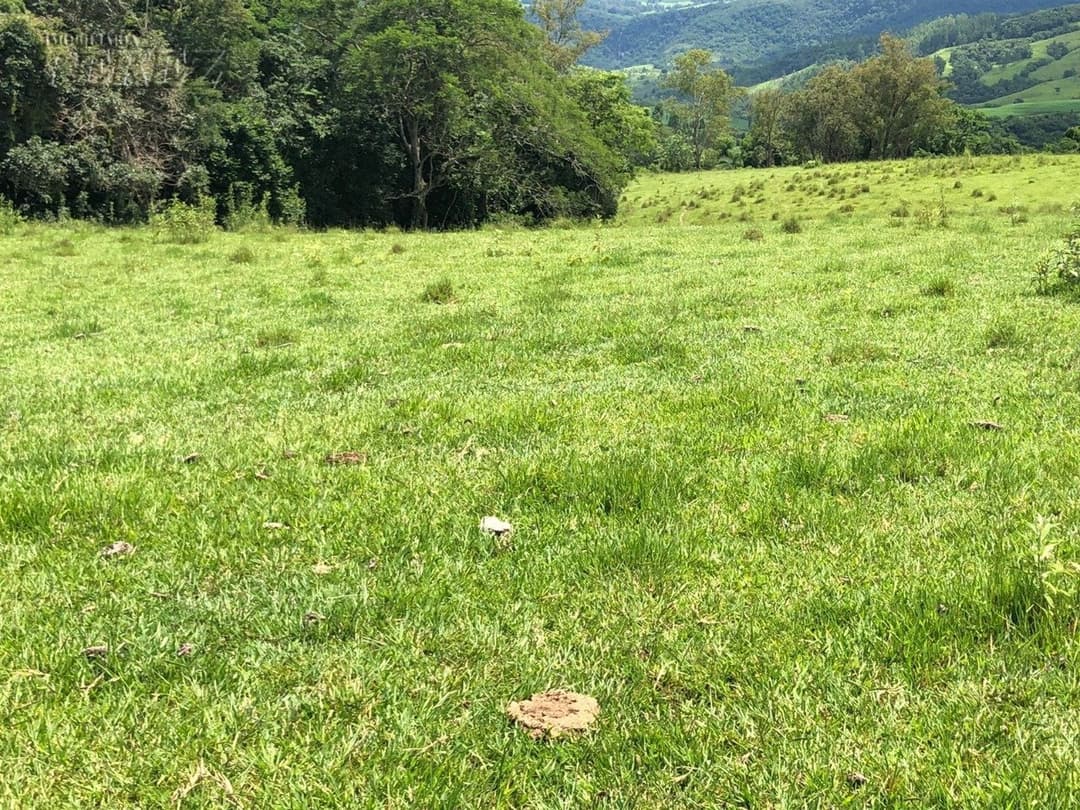 Imóveis Rurais, de 1 quarto à venda no Marumbi - Faxinal/PR - Foto 5