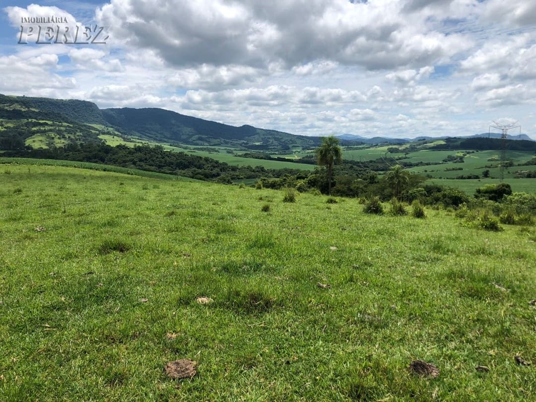 Imóveis Rurais, de 1 quarto à venda no Marumbi - Faxinal/PR - Foto 6